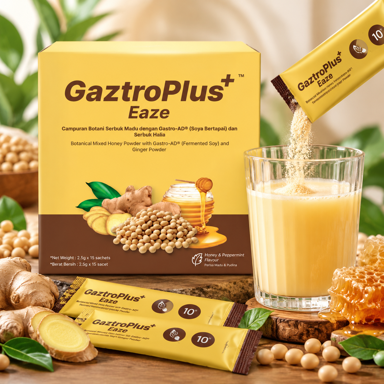 Pengenalan GaztroPlus Eaze